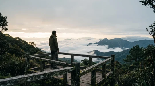 Vue panoramique du sommet brumeux du Doi Inthanon avec une mer de nuages au lever du jour au-dessus des montagnes du nord de la Thaïlande